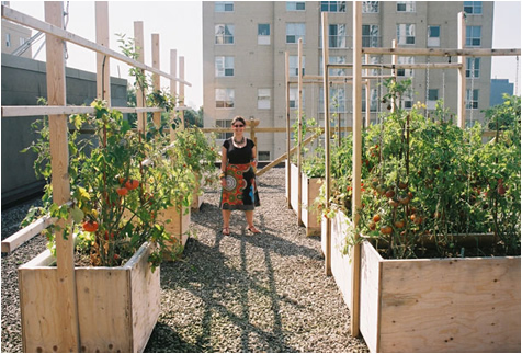 Vivian in the garden