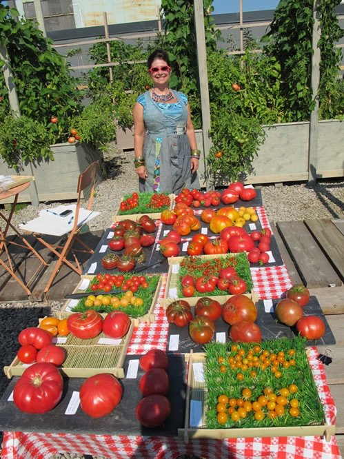 Vivian: Rooftop Garden